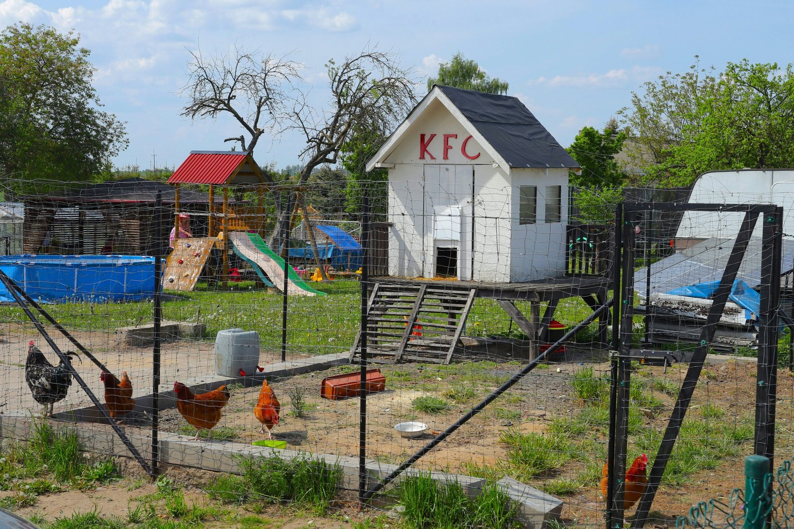 A Comprehensive Guide to Constructing a Chicken House