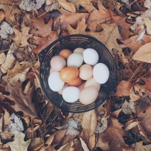 Photo by <a href="https://unsplash.com/@autumnmott" rel="nofollow">Autumn Mott Rodeheaver</a> on <a href="https://unsplash.com/?utm_source=hostinger&utm_medium=referral" rel="nofollow">Unsplash</a> 